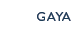  GAYA
