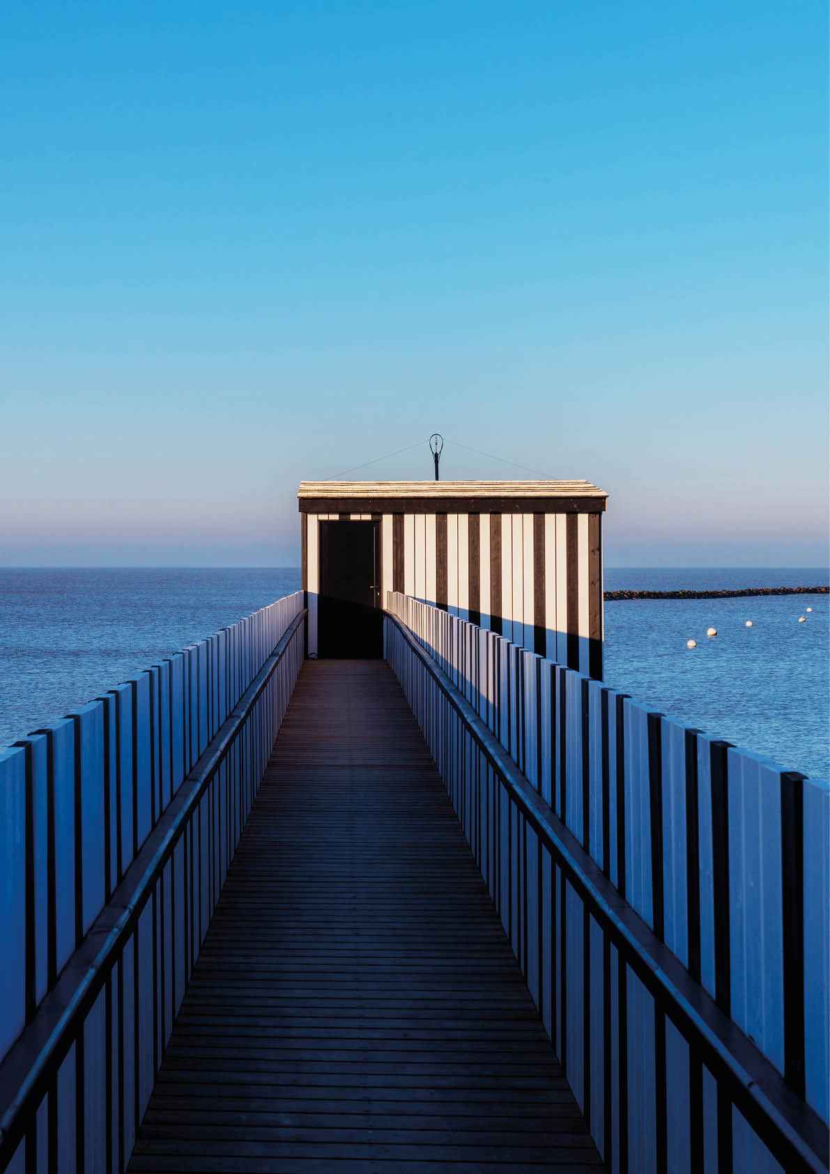 Photographe La Rochelle Sylvie Curty 06 18 95 83 82