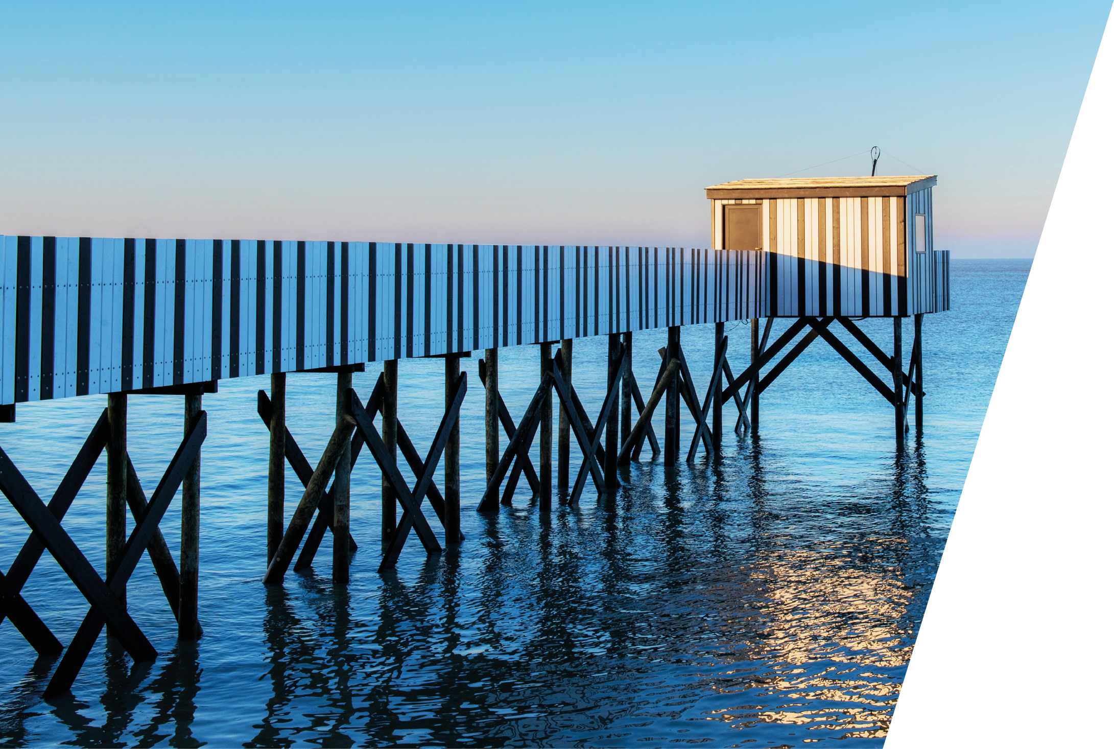 Photographe La Rochelle Sylvie Curty 06 18 95 83 82